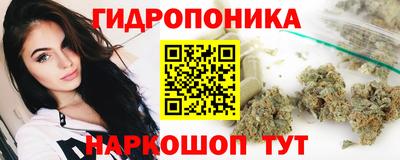 PSILOCYBIN Обнинск