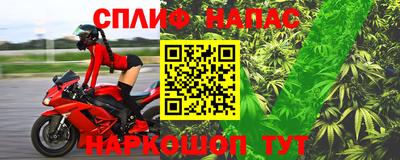 PSILOCYBIN Обнинск