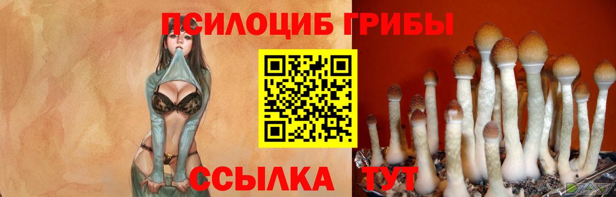 Галлюциногенные грибы мухоморы  Вход с VPN  Галлюциногенные грибы GOLDEN TEACHER  Славгород 